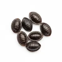 ბაყაყურას თესლი (Silybi mariani fructus)