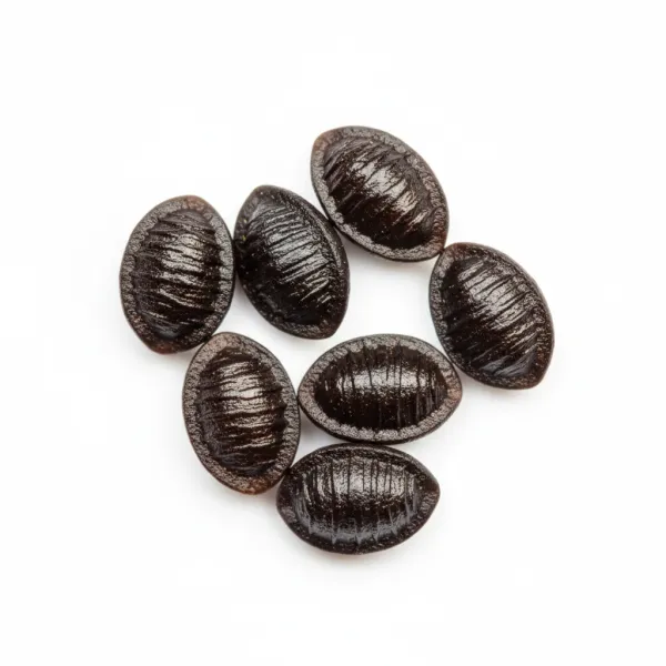 ბაყაყურას თესლი