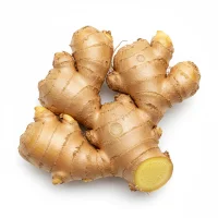 კოჭას ფესურის ნაჭრები, რომელიც გამოიყენება საკვები დანამატებისთვის