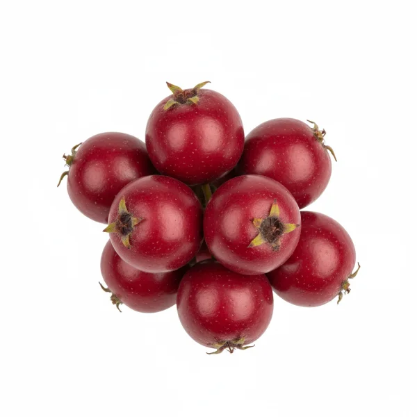 კუნელის ნაყოფი