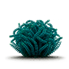 სპირულინა (Arthrospira platensis)