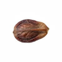 ყურძნის წიპწა