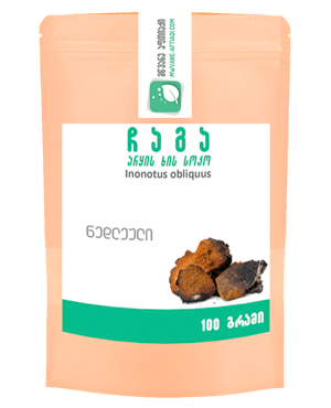 სოკო ჩაგა