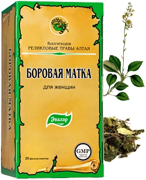 ბოროვაია მატკა ერთჯერად ფილტრ პაკეტებში