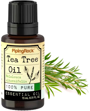 ჩაის ხის ეთერზეთი