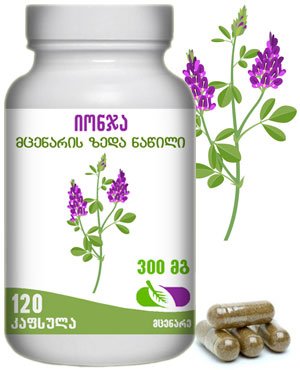 იონჯა კაფსულებში